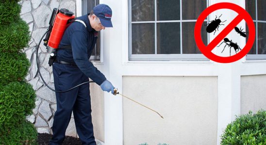 Kıbrıscık Kene İlaçlama böcek ilaçlama ve haşere kontrolü — ilaclama-tr.com